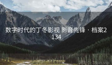 数字时代的丁冬影视 影音先锋 · 档案2134