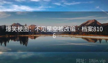 爆笑梗图：不见星空被改编 · 档案8106