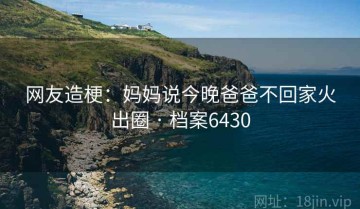 网友造梗：妈妈说今晚爸爸不回家火出圈 · 档案6430