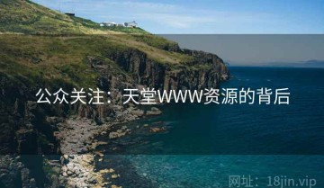 公众关注：天堂WWW资源的背后