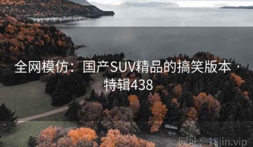 全网模仿：国产SUV精品的搞笑版本 · 特辑438