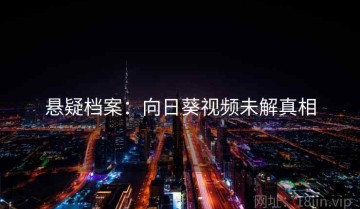 悬疑档案：向日葵视频未解真相