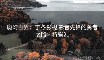 魔幻世界：丁冬影视 影音先锋的勇者之路 · 特辑21
