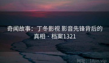 奇闻故事：丁冬影视 影音先锋背后的真相 · 档案1321