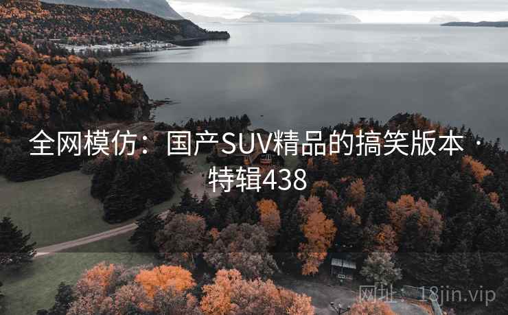 全网模仿：国产SUV精品的搞笑版本 · 特辑438