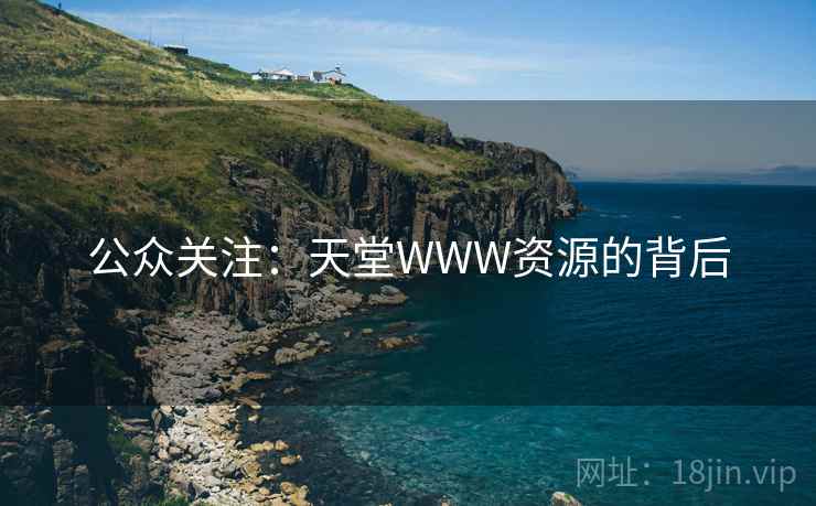 公众关注：天堂WWW资源的背后