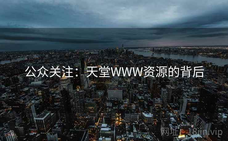 公众关注：天堂WWW资源的背后