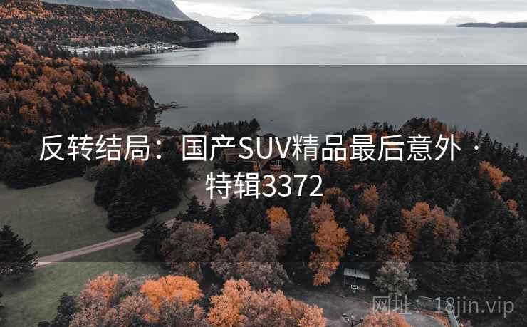 反转结局：国产SUV精品最后意外 · 特辑3372