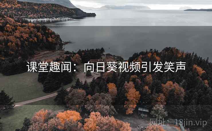 课堂趣闻:向日葵视频引发笑声 课堂趣闻:向日葵视频引发笑声
